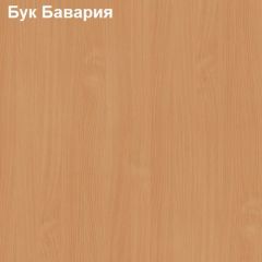 Антресоль для большого шкафа Логика Л-14.3 в Елабуге - elabuga.mebel24.online | фото 2