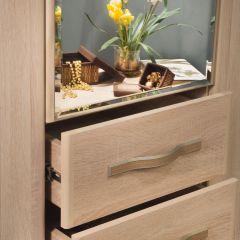 ДИАНА Д11 Шкаф для одежды в Елабуге - elabuga.mebel24.online | фото 5