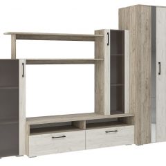 Гостиная Эмма (Дуб Крафт серый/белый) в Елабуге - elabuga.mebel24.online | фото 2