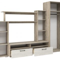 Гостиная Эмма (Дуб Крафт серый/белый) в Елабуге - elabuga.mebel24.online | фото 3