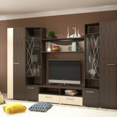 Стенка Гамма (без зеркал) в Елабуге - elabuga.mebel24.online | фото