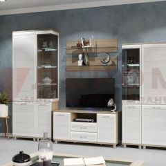 Гостиная Мелисса Композиция 5 (корпус Ясень Асахи, фасад Снежный ясень) в Елабуге - elabuga.mebel24.online | фото 2