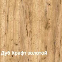 Крафт Полка для обуви 15.63 в Елабуге - elabuga.mebel24.online | фото 3