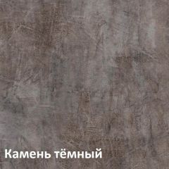 Крафт Полка навесная 15.64 в Елабуге - elabuga.mebel24.online | фото 4