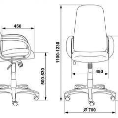 Кресло руководителя Бюрократ CH-808AXSN/G темно-серый 3C1 в Елабуге - elabuga.mebel24.online | фото 3