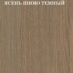 Кровать 2-х ярусная с диваном Карамель 75 (АРТ) Ясень шимо светлый/темный в Елабуге - elabuga.mebel24.online | фото 5