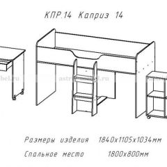 КАПРИЗ-14 Кровать 800 двухъярусная без рисунка в Елабуге - elabuga.mebel24.online | фото 2