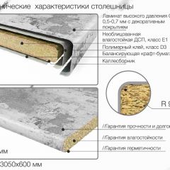 Кухонный фартук со столешницей (А-01) в едином стиле (3050 мм) в Елабуге - elabuga.mebel24.online | фото 6