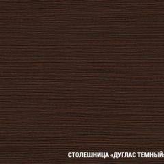 Кухонный гарнитур Полина стандарт 1600 в Елабуге - elabuga.mebel24.online | фото 12