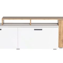Гостиная Эльза (модульная) Дуб Крафт Золотой/Белый в Елабуге - elabuga.mebel24.online | фото 4