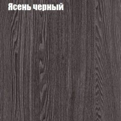 Прихожая ДИАНА-4 сек №10 (Ясень анкор/Дуб эльза) в Елабуге - elabuga.mebel24.online | фото 3