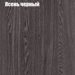 Прихожая ДИАНА-4 сек №11 (Ясень анкор/Дуб эльза) в Елабуге - elabuga.mebel24.online | фото 3