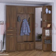 Прихожая Карина композиция 3 (Акация Молдау) в Елабуге - elabuga.mebel24.online | фото