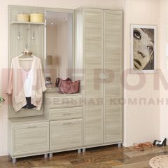 Прихожая Мелисса композиция 11 (Ясень Асахи) в Елабуге - elabuga.mebel24.online | фото