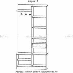 Прихожая София 1 в Елабуге - elabuga.mebel24.online | фото 3