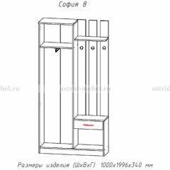 Прихожая София 8 в Елабуге - elabuga.mebel24.online | фото 2