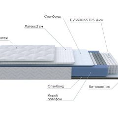 PROxSON Матрас Active Duo S/F (Ткань Трикотаж Эко) 120x190 в Елабуге - elabuga.mebel24.online | фото 7