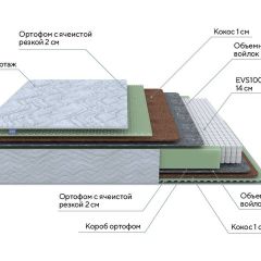 PROxSON Матрас Green M (Tricotage Dream) 120x220 в Елабуге - elabuga.mebel24.online | фото 10