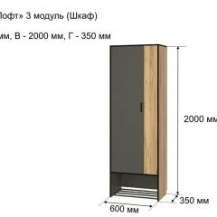 ОЛЬГА-ЛОФТ 3 Шкаф 2-х створчатый в Елабуге - elabuga.mebel24.online | фото 4