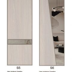 Шкаф-купе 1300 серии SILVER S1+S1+B2+PL2 (2 ящика+1 штанга+1 полка) профиль «Серебро» в Елабуге - elabuga.mebel24.online | фото 11