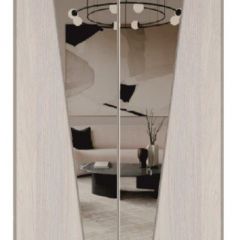 Шкаф-купе 1300 серии SILVER S1+S1+B2+PL2 (2 ящика+1 штанга+1 полка) профиль «Серебро» в Елабуге - elabuga.mebel24.online | фото 12