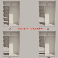 Шкаф-купе 1300 серии SILVER S1+S1+B2+PL2 (2 ящика+1 штанга+1 полка) профиль «Серебро» в Елабуге - elabuga.mebel24.online | фото 5