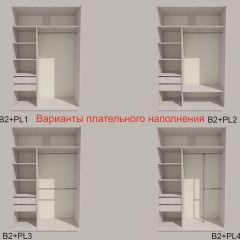 Шкаф-купе 1300 серии SILVER S1+S1+B2+PL2 (2 ящика+1 штанга+1 полка) профиль «Серебро» в Елабуге - elabuga.mebel24.online | фото 6