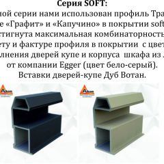 Шкаф-купе 1400 серии SOFT D6+D4+B2+PL2 (2 ящика+1штанга+1 полка) профиль «Капучино» в Елабуге - elabuga.mebel24.online | фото 13