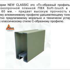 Шкаф-купе 1500 серии NEW CLASSIC K2+K2+B2+PL2(2 ящика+1 штанга+1 полка) профиль «Капучино» в Елабуге - elabuga.mebel24.online | фото 17