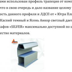 Шкаф-купе 1500 серии SILVER S1+S1+B2+PL2 (2 ящика+1 штанга+1 полка) профиль «Серебро» в Елабуге - elabuga.mebel24.online | фото 4