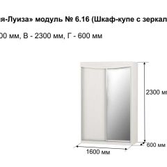 Шкаф-купе 1600 с зеркалом "Мария-Луиза 6.16" в Елабуге - elabuga.mebel24.online | фото 4