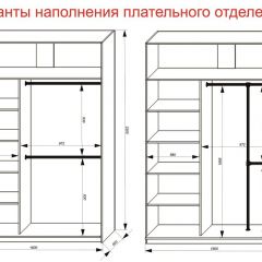 Шкаф-купе 1600 серии SOFT D6+D4+B2+PL2 (2 ящика+1штанга+1 полка) профиль «Капучино» в Елабуге - elabuga.mebel24.online | фото 9