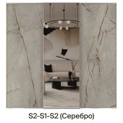 Шкаф-купе 1950 серии SILVER S6+S1+S6Z B22+PL1 (по 2 ящика лев/прав+1 штанга) профиль «Серебро» в Елабуге - elabuga.mebel24.online | фото 6