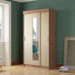Шкаф-купе Эко (ЭРА) в Елабуге - elabuga.mebel24.online | фото 2