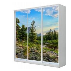 Шкаф-купе ХИТ 22-18-777 (620) в Елабуге - elabuga.mebel24.online | фото