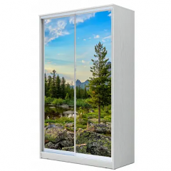 Шкаф-купе ХИТ 22-4-12-77 (420) в Елабуге - elabuga.mebel24.online | фото 2