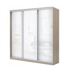 Шкаф-купе ХИТ 22-4-18-888 (420) в Елабуге - elabuga.mebel24.online | фото 6