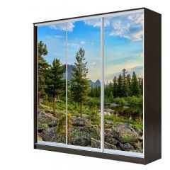 Шкаф-купе ХИТ 23-4-18-777 (420) в Елабуге - elabuga.mebel24.online | фото 1