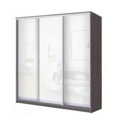 Шкаф-купе ХИТ 23-4-18-888 (420) в Елабуге - elabuga.mebel24.online | фото 1