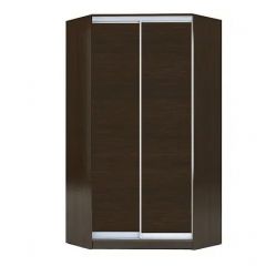 Шкаф-купе ХИТ-У-L-23-64-11 в Елабуге - elabuga.mebel24.online | фото 1