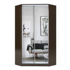 Шкаф-купе ХИТ-У-R-23-64-55 в Елабуге - elabuga.mebel24.online | фото