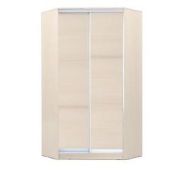 Шкаф-купе ХИТ-У-R-24-64-11 в Елабуге - elabuga.mebel24.online | фото 7