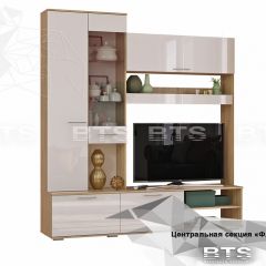 ФЛАЙ Центральная секция ЦС-01 (дуб сонома/белый) в Елабуге - elabuga.mebel24.online | фото 2