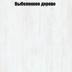 Вешалка V2 в Елабуге - elabuga.mebel24.online | фото 4