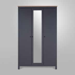 2.08.01.040.15 САГА шкаф 3 двери с зеркалом серый/ясень в Елабуге - elabuga.mebel24.online | фото 2