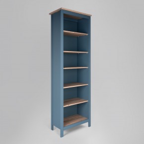 2.08.07.110.16 САГА стеллаж 70 темно-бирюзовый/ясень RU в Елабуге - elabuga.mebel24.online | фото
