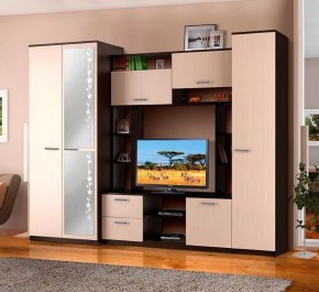АЛЕКСАНДРА 10 Стенка в Елабуге - elabuga.mebel24.online | фото 2