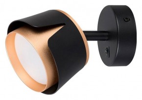 Бра Arte Lamp Amaks A8028AP-1BK в Елабуге - elabuga.mebel24.online | фото