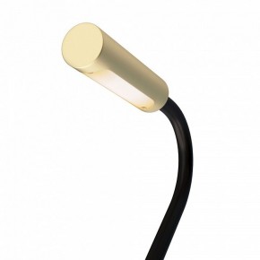 Бра Maytoni Stem C035WL-L3MG3K в Елабуге - elabuga.mebel24.online | фото 6