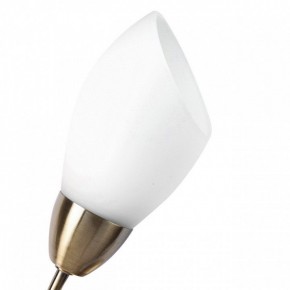 Бра MW-Light Нежность 7 356023001 в Елабуге - elabuga.mebel24.online | фото 2